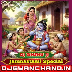 Mithi Mithi Murali Bajaye Maaro ( Janmastami Special ) Dj Anshu Ji
